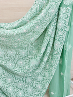 Mint green saree